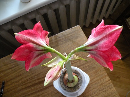 DSCN9509.JPG