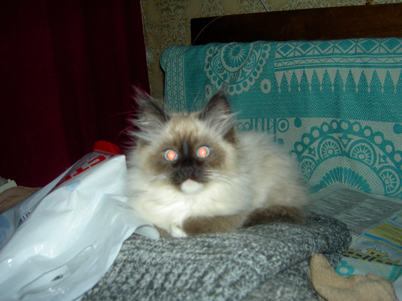 Misys.jpg