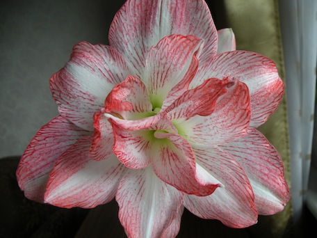 DSCN9610.JPG