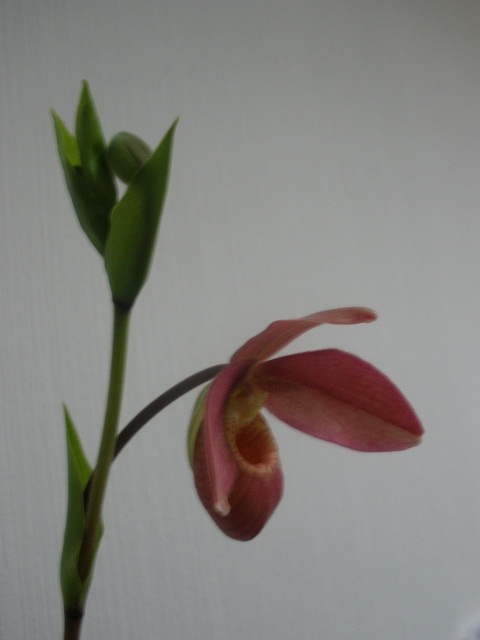 PB050002.JPG