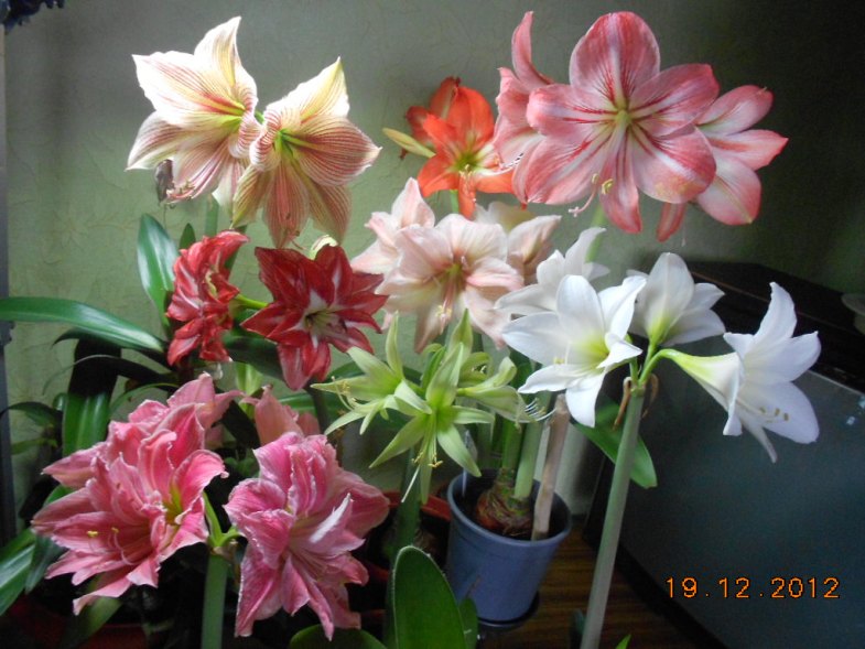 DSCN1506 1.jpg
