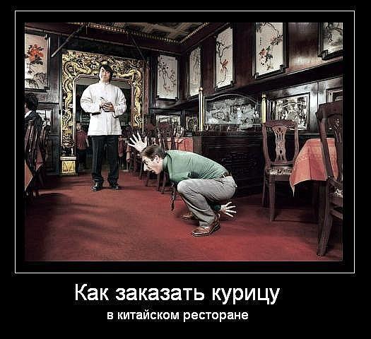 kurica.jpg