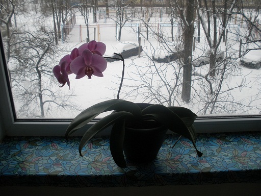 PC220017.JPG