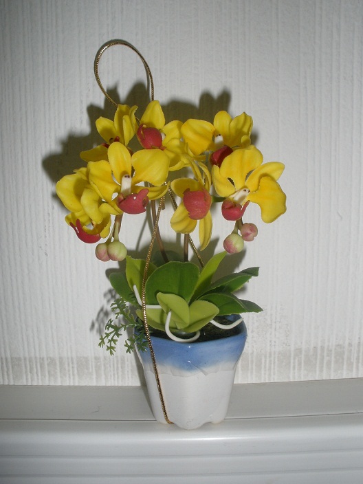 P1060003.JPG