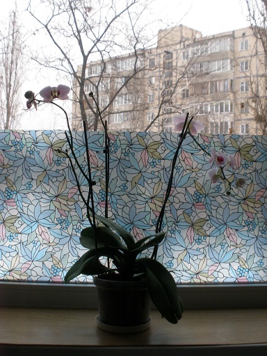 P1070015.JPG