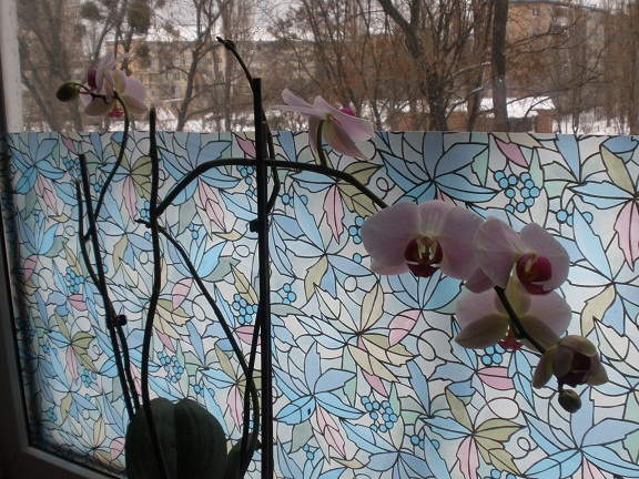 P1070017.JPG