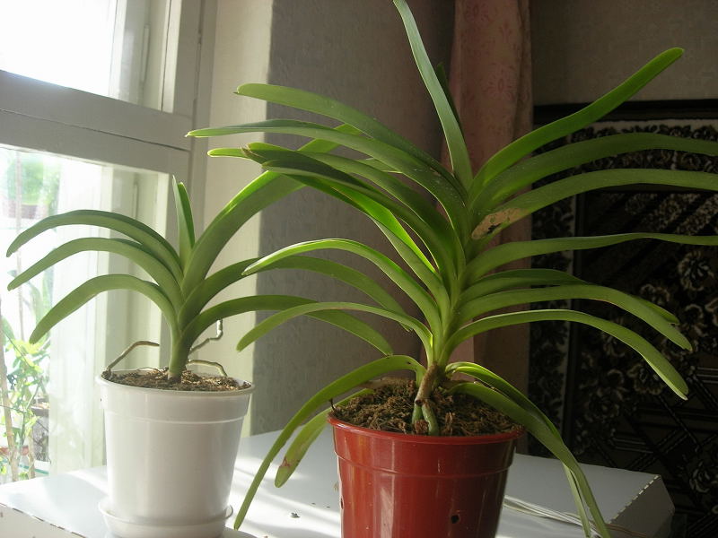 DSCN22210001.JPG