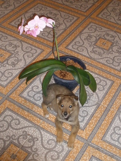 P2200106.JPG