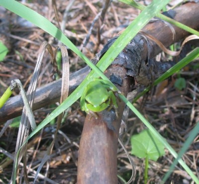 2006 14.JPG