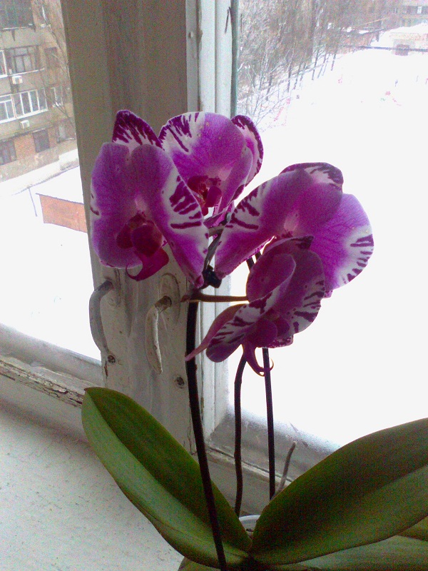 010220131012.jpg