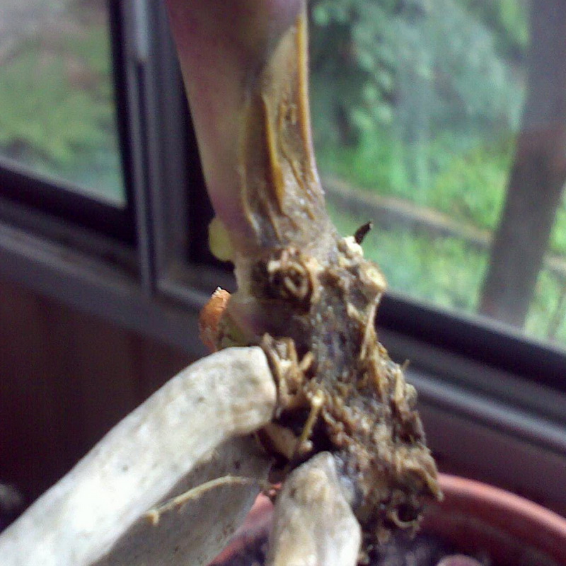 170620132160.jpg