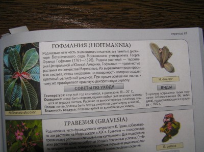 P1145706.jpg