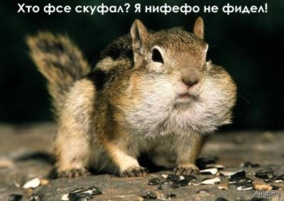 www_druzi_ru_58_193_20060203_258.jpg
