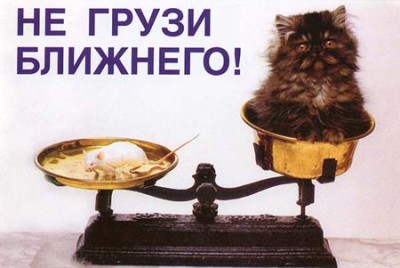 www_druzi_ru_58_89_20060207_415.jpg