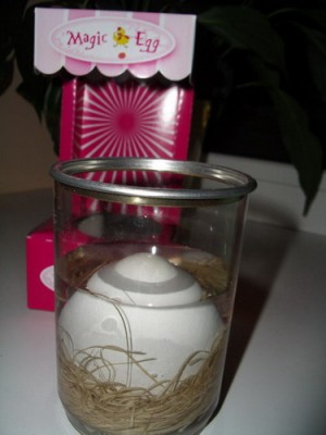 egg 2007 01 16.jpg