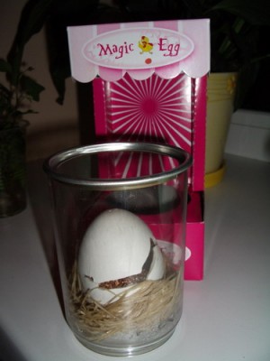 egg 2007 01 18.jpg