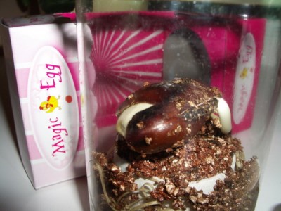 egg 2007 01 21.jpg