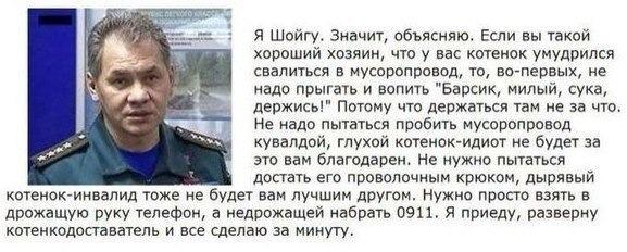 Котенкоспасатель.jpg